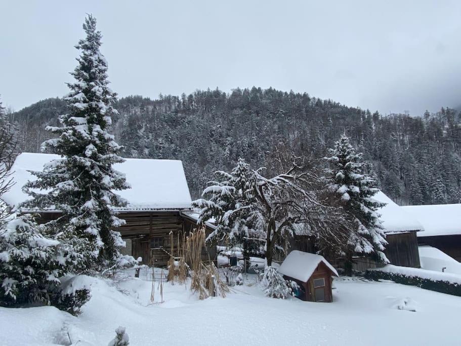 Panorama Wohnung Rungelin Bludenz Exterior foto